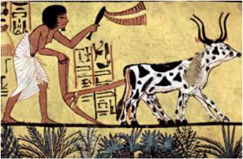 Farming/Trade - Ancient Egypt